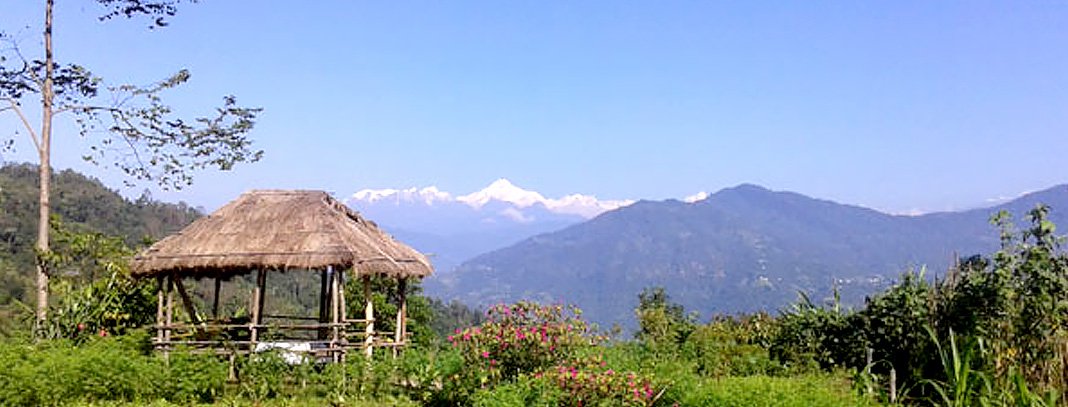 View From Homestay