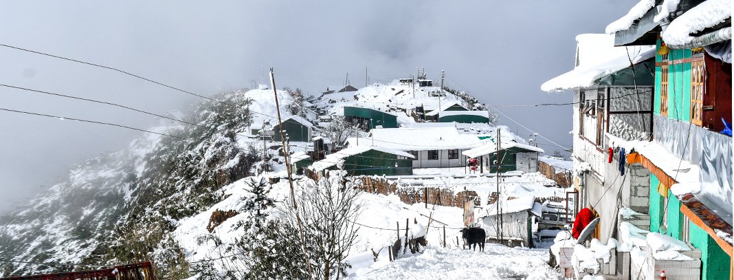 Basera Retreat Zuluk